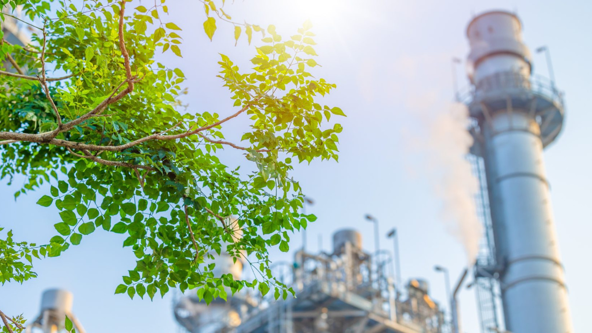 Industrial plant with smokestack and processing equipment framed by green tree leaves